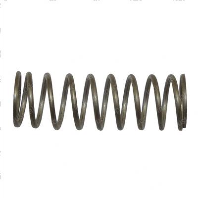 Picture of Spring-Timer