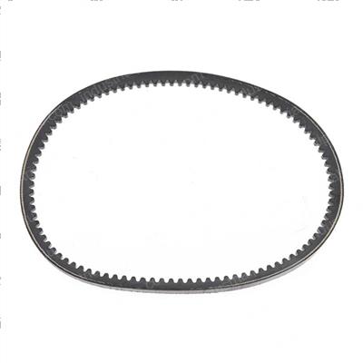 Picture of Belt