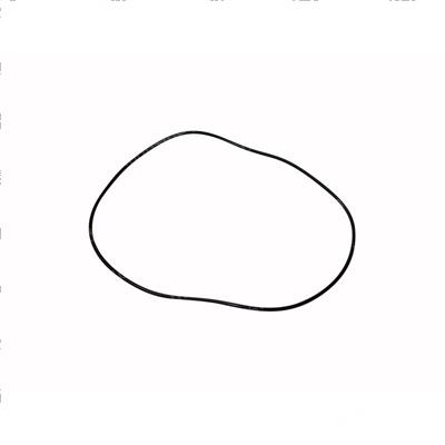 Picture of O-Ring