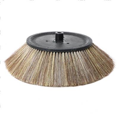 Picture of Broom