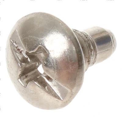 Picture of Hinge Screw