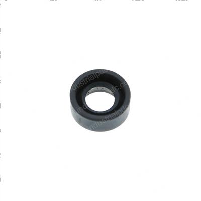 Picture of Seal