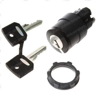 Picture of Switch - Key