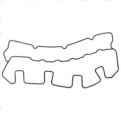 Picture of Gasket