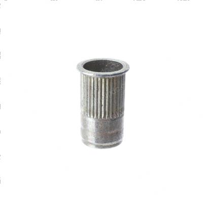 Picture of Insert