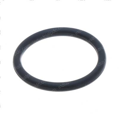 Picture of O-Ring