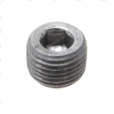 Picture of Pipe Plug 1/8 Cnt/Sk
