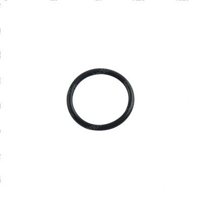 Picture of O-Ring