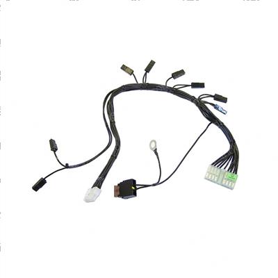 Picture of Wiring Harness