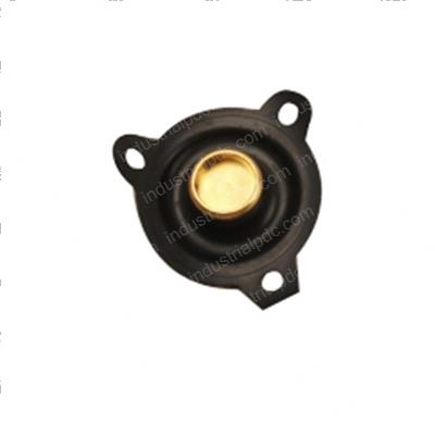 Picture of Diaphragm