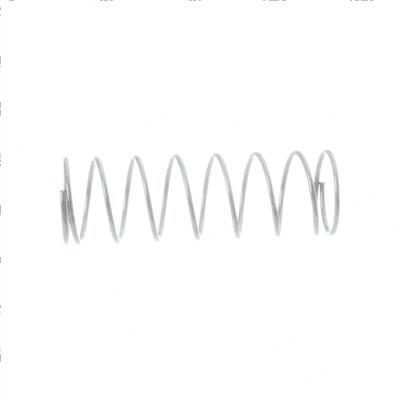 Picture of Spring Diaphrag