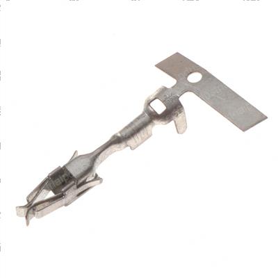 Picture of Socket Term