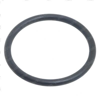 Picture of O-Ring Seal