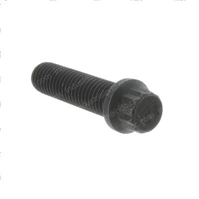 Picture of Bolt - 12 Pt Flange