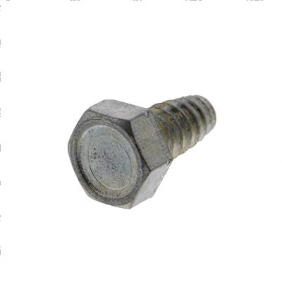 Picture of Bolt