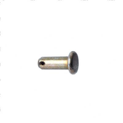Picture of Pin