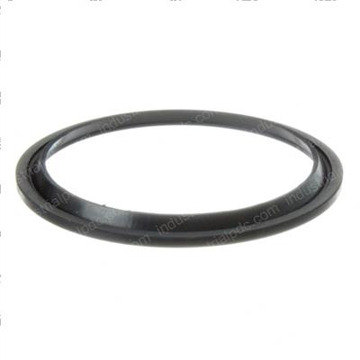 Picture of Seal