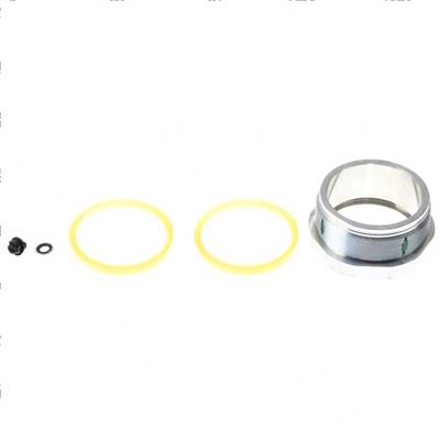 Picture of Cyl Cap / Seal Kit