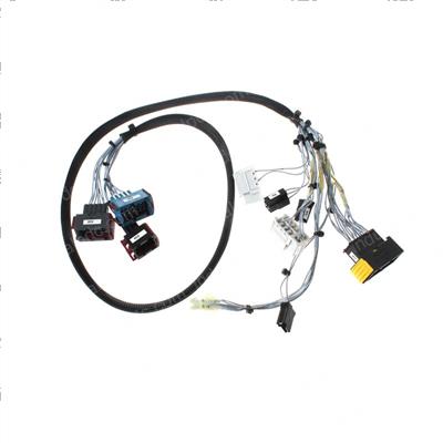 Picture of Harness