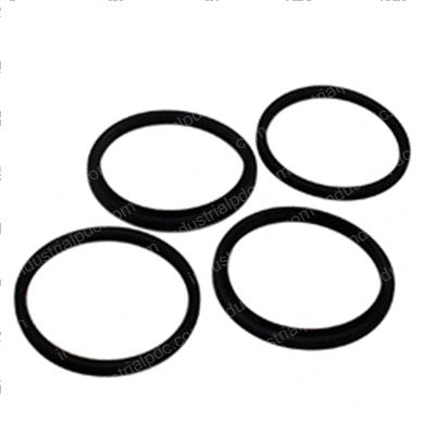 Picture of Seal Kit - Caliper