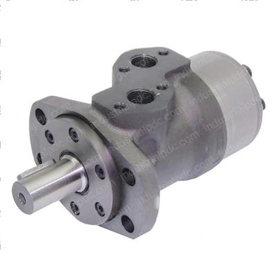 Picture of Hydraulic Motor
