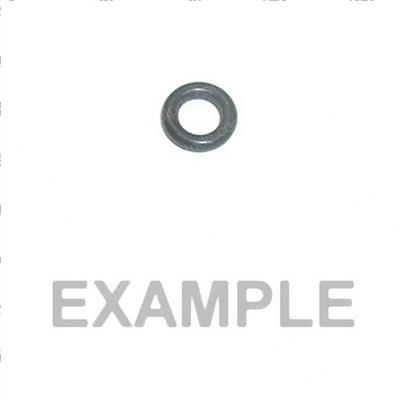 Picture of Seal O-Ring