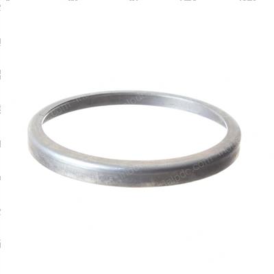 Picture of Protector Ring