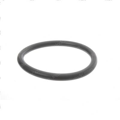 Picture of O-Ring