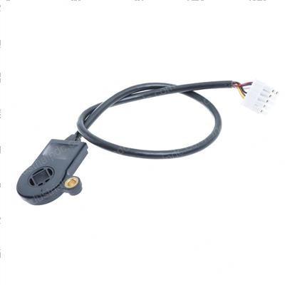 Picture of Sensor Asm
