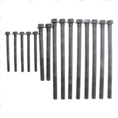 Picture of Cyl Head Bolt Kit