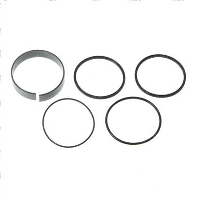 Picture of Kit - O-Ring Fuel Asm