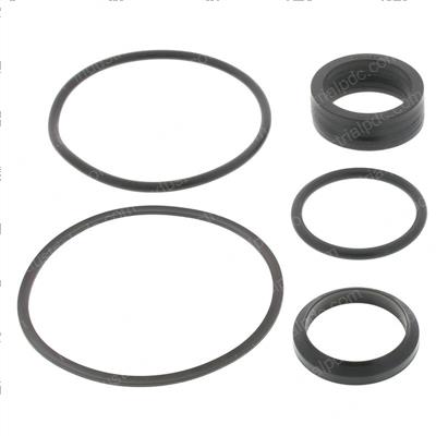 Picture of Rod Seal Kit