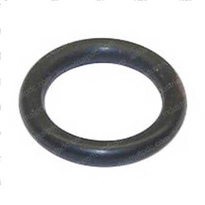 Picture of O-Ring