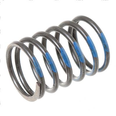 Picture of Spring,governor