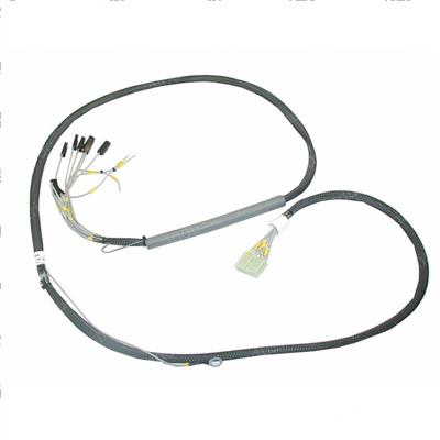Picture of Harness