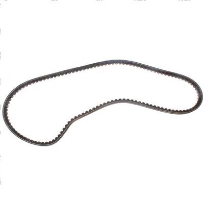 Picture of Belt