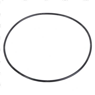 Picture of O-Ring