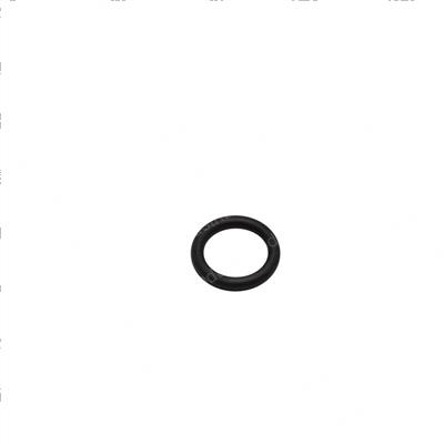 Picture of O-Ring