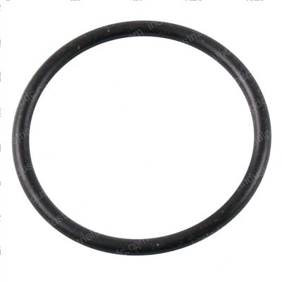 Picture of O-Ring