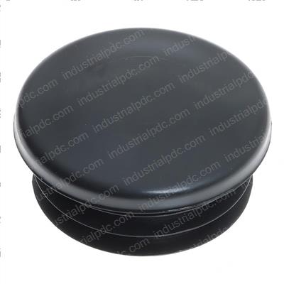 Picture of Blanking Plug