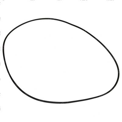 Picture of O-Ring