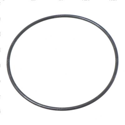 Picture of O-Ring