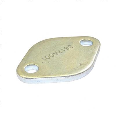 Picture of Plate