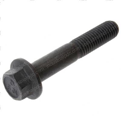 Picture of Screw Hex
