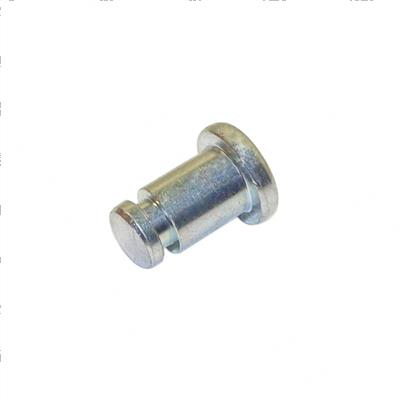 Picture of Pin