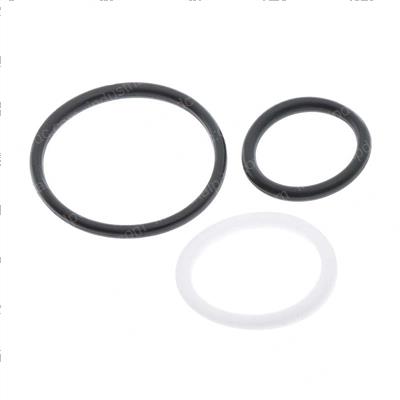 Picture of Seal Kit Plug