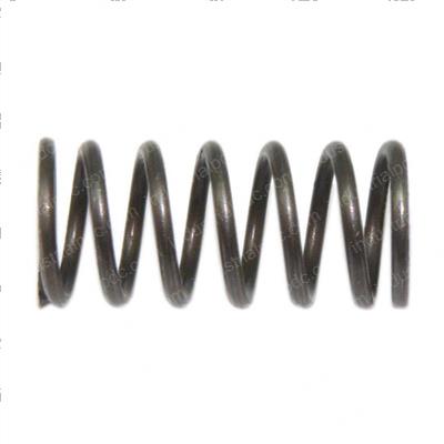 Picture of Spring Compress