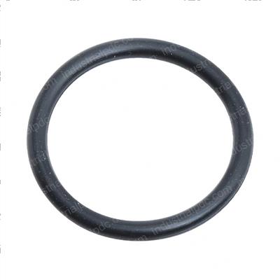 Picture of O-Ring
