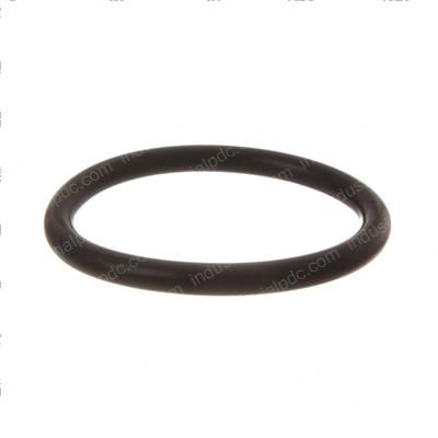 Picture of O-Ring