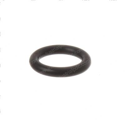 Picture of O-Ring